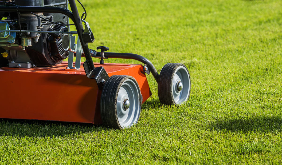 Backyard Lawn Aeration Using Gasoline Aerator Machine.